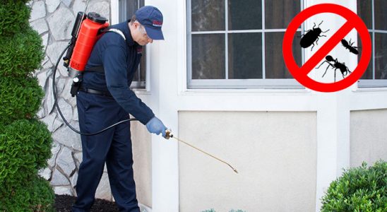 Ergene Dezenfeksiyon böcek ilaçlama ve haşere kontrolü — ilaclama-tr.com